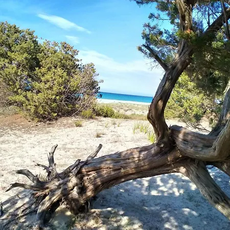 Caletta Sul Mare